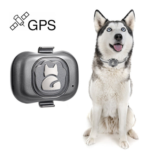 G16 Pets GPS Tracker IP67 Waterproof Smart Collar Anti lost Tracking for Dog Cat