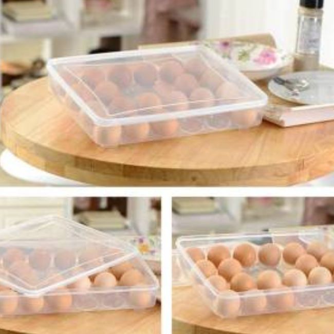 24 Slots Egg Storage Container Tray Holder