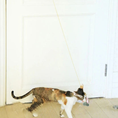 Hanging Door Retractable Cat Teaser Stick Pet Toy Grass Green Rabbit