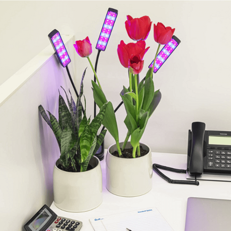 Flexible LED Indoor Grow Light