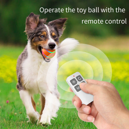 O1 Intelligent Remote Control Pet Toy Dog Training Luminous Ball Pink