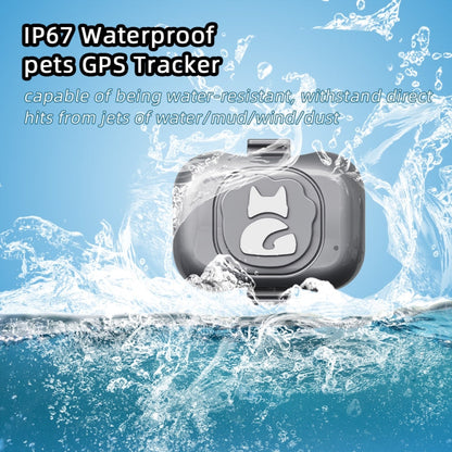 G16 Pets GPS Tracker IP67 Waterproof Smart Collar Anti lost Tracking for Dog Cat