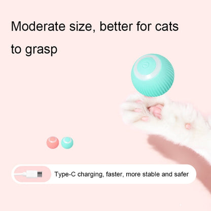 0001 Smart Gravity Teaser Cat Rolling Ball Teeth Resistant Cat Toys Pink