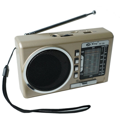 BAIJIALI PX 53U Champagne Gold Multi band Retro Pointer Radio USB Plug In Card Radios