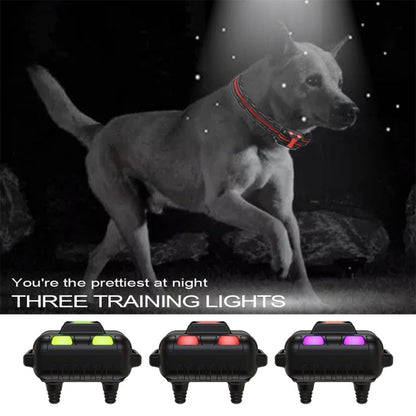 Smart Electronic Remote Control Dog Training Device Waterproof Pets Bark Stopper Size For Two Dog Orange