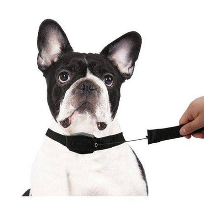 Magnetic Retractable 2 In 1 Telescopic Leash And Collar