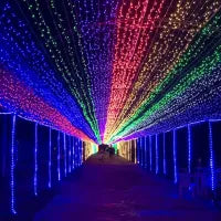 LED Decorative Lights